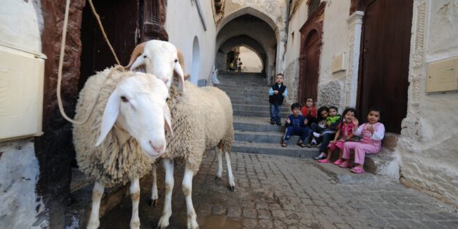 إجازة عيد الأضحى