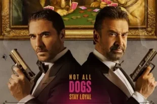 7Dogs يجمع كريم عبدالعزيز وأحمد عز