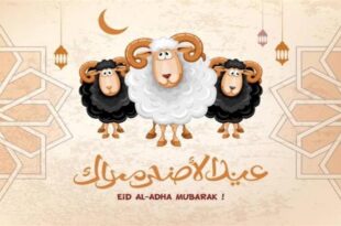 أجمل التهاني والرسائل بمناسبة عيد الأضحى