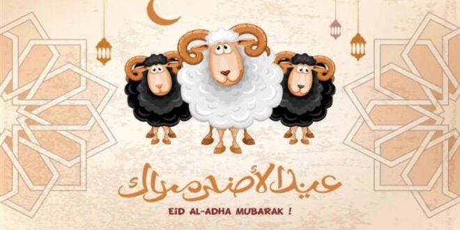 أجمل التهاني والرسائل بمناسبة عيد الأضحى