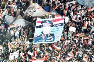 ثورة ٣٠ يونيو
