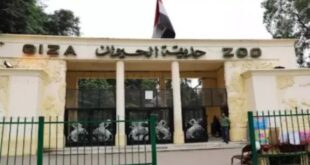 حديقة حيوان الجيزة بعد التطوير الشامل