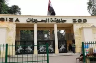 حديقة حيوان الجيزة بعد التطوير الشامل