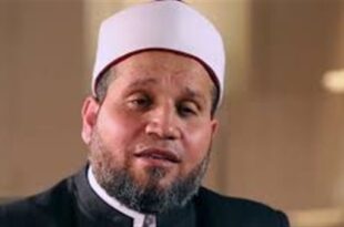 الإخواني الهارب سلامة محمد عبد القوي